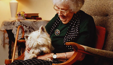 nurse nursing home inhome live-in livein elder elderly senior geriatric 24hr 24 hour care north shore northern beaches