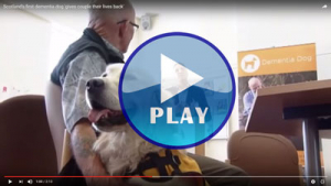 dementia dogs assist elder stay home respite parkinsons