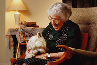 Conditions Daughterly Care specialises in private Elderly live-in care