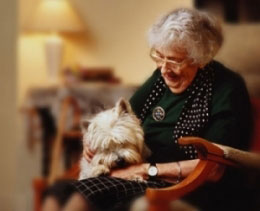 elderly aged in home senior livein live-in care private north shore northern beaches 24hr 24 hour eastern suburbs bondi