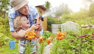 gardening is a great activity for elders with a dementia