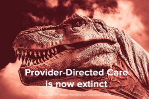 Provider-directed care now extinct